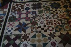 Pat Brauns Sampler Quilt.JPG